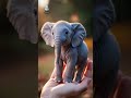 Elephant in the Palm: Nature's Tiniest Giant