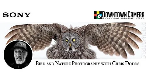 Bird and nature photography with Christopher Dodds