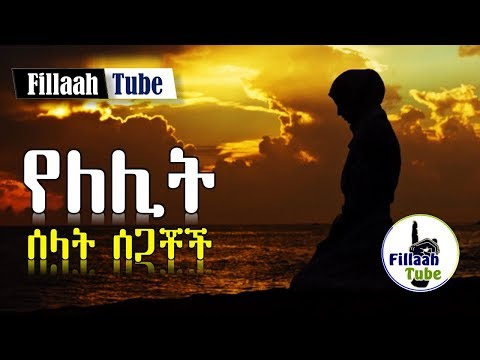 ቪዲዮ: የሌሊት ወፎች በቤቴ ሰገነት ውስጥ ናቸው?