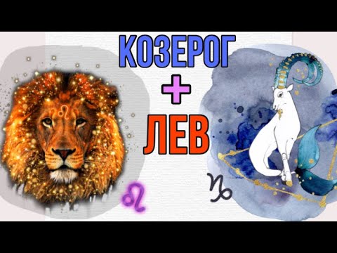 козерог и лев дружба