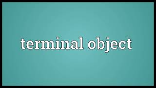 Terminal object Meaning