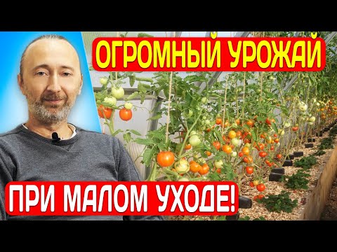Зачем грядки засыпать сверху щепой? 5 выгод от высоких грядок из досок в теплицах для сверх урожая!