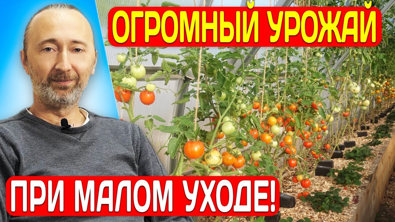 Зачем грядки засыпать сверху щепой? 5 выгод от высоких грядок из досок ...