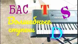 картинка: 2 серия. Подбор по слуху. Бас или Три волшебных ступени T S D / Музыкальная школа / Ноты Пилоты