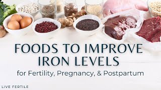 Iron and Women's Health | Tips to Increase Iron Levels for Fertility, Pregnancy, and Postpartum