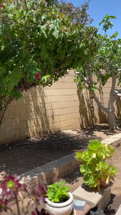 Gardening is all done for the day. #Gardening #backyard