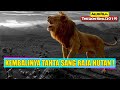 Kisah Putra Raja Merebut Tahtanya kembali | Alur Cerita Film THE LION KING (2019)