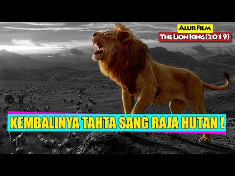 Video: Siapa yang berperan sebagai burung di raja singa 2019?