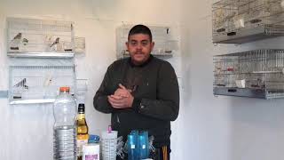 Comment soigner c'est canaris