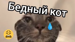 Бедный Кот 😭