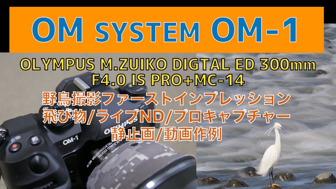 OM SYSTEM / Olympus M.Zuiko Digital ED 300mm F4 IS PRO | Product