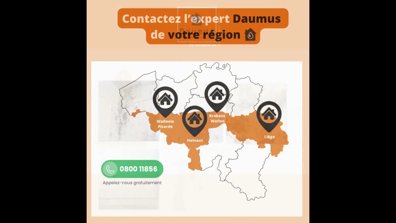 Daumus traitement de l'humidité 20 sec carré