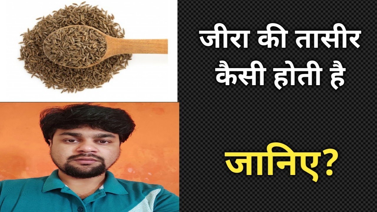 Jeera ki taseer kaisi hoti hai जीरा की तासीर कैसी होती है YouTube