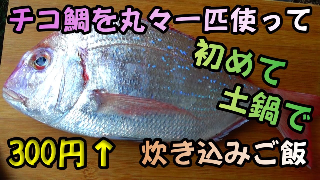 食欲の秋だよ 飯テロ 鯛を一匹使った鯛の炊き込みご飯作り Youtube