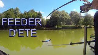 Method feeder d'été