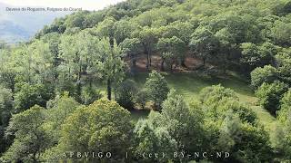 A Devesa da Rogueira en O Courel (Lugo)