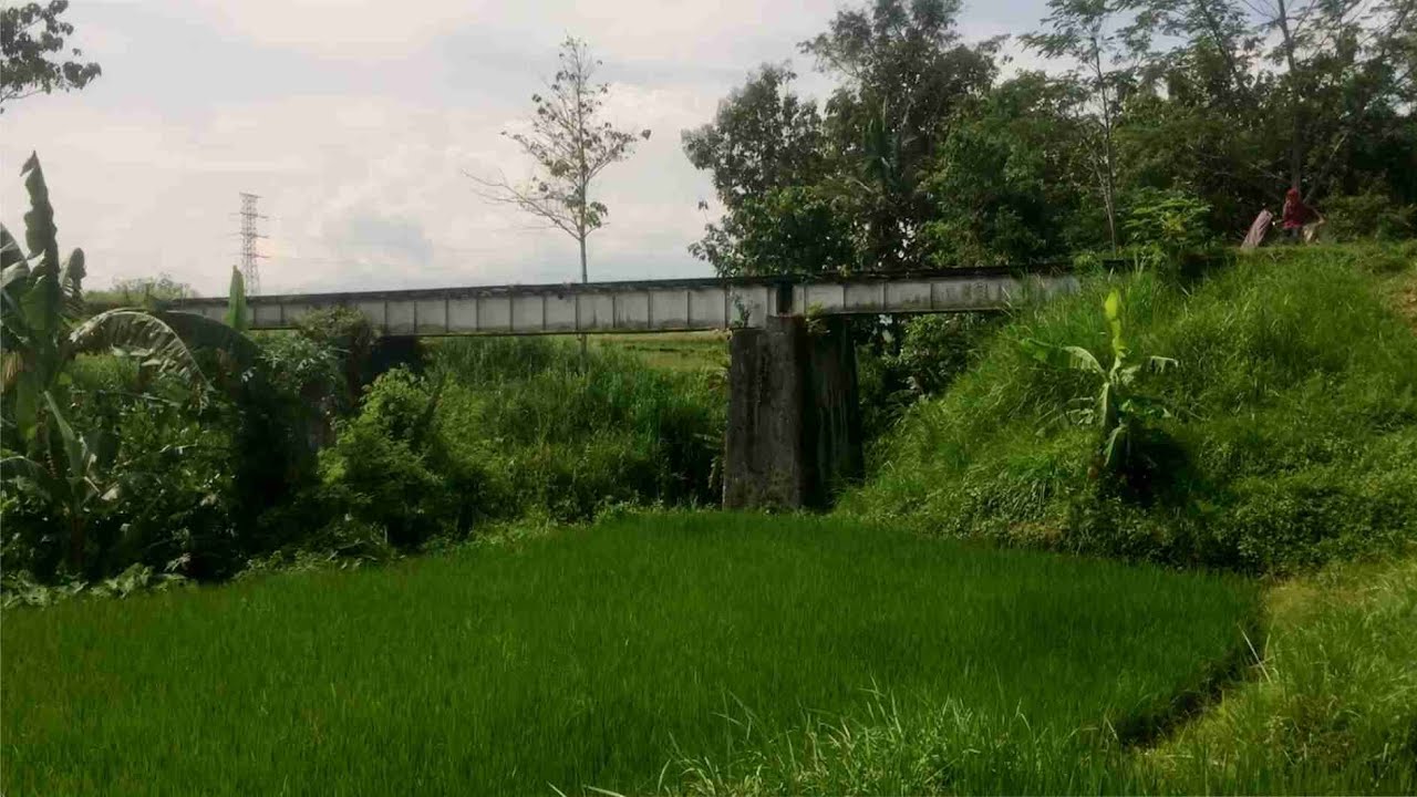 KEINDAHAN KHAS JEMBATAN REL TENGAH SAWAH SUNGAI TENGGARANG Bondowoso - Jalur Panarukan - Kalisat