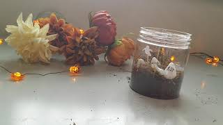 October Craft Kit Cemeterrarium Instructional Video