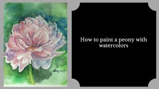realistic flower peony paint