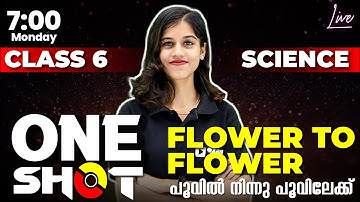 Class 6 Basic Science | One Shot |Flower to Flower/പൂവിൽ നിന്നു പൂവിലേക്ക് | Chapter 3 | Exam Winner