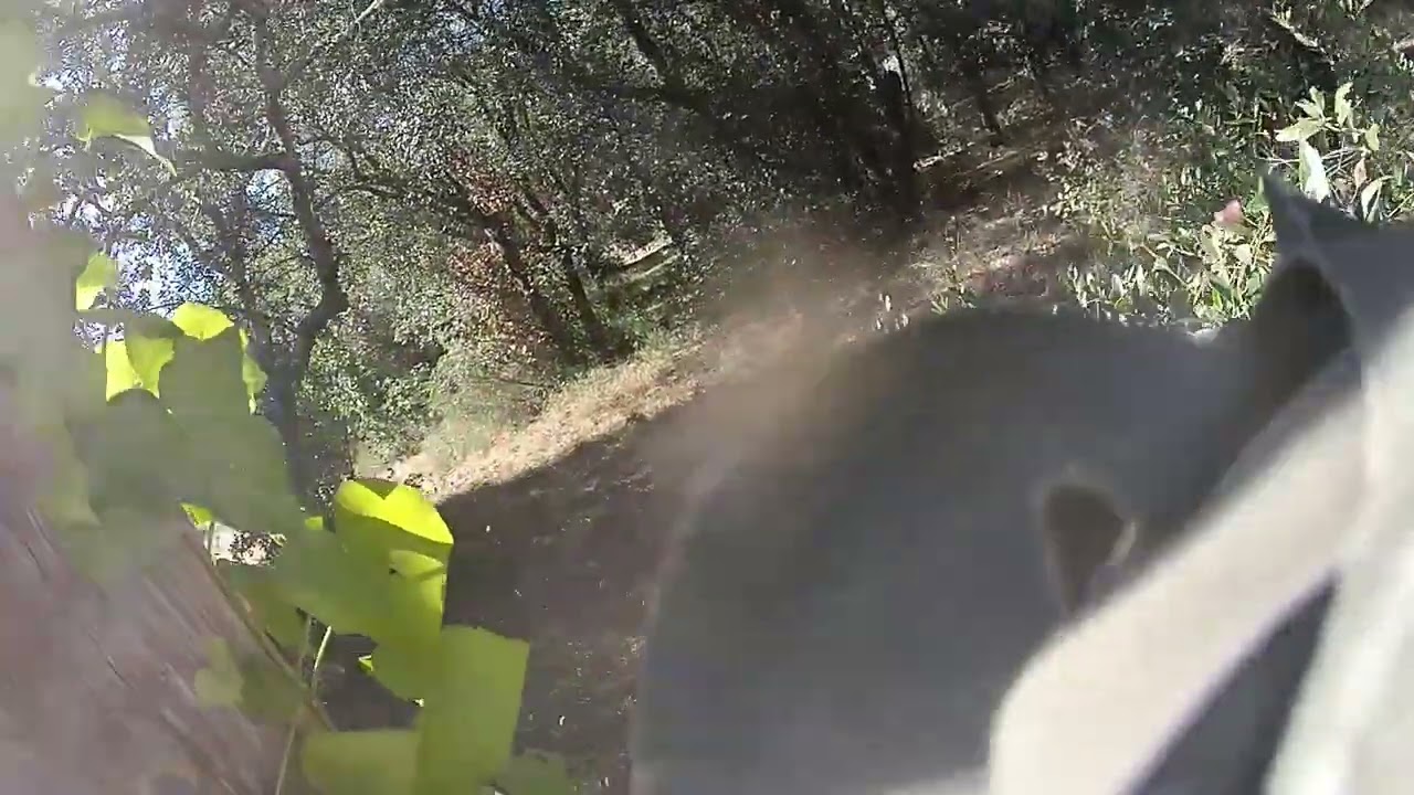 Last Game of the Day: Capture the Flag (Rice POV)