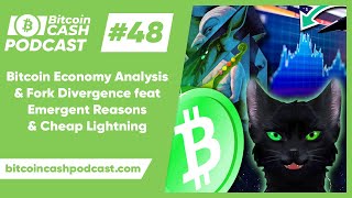 The Bitcoin Cash Podcast #48: Bitcoin Economy Analysis & Fork Divergence ft. ER & CL screenshot 4