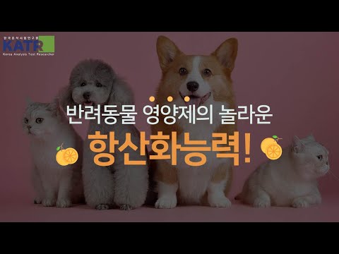   KATR 반려동물에게 영양제가 꼭 필요한 이유 반려동물의 노화를 늦추기 위한 영양제 반려동물 건강관리 한국분석시험연구원 항산화시험