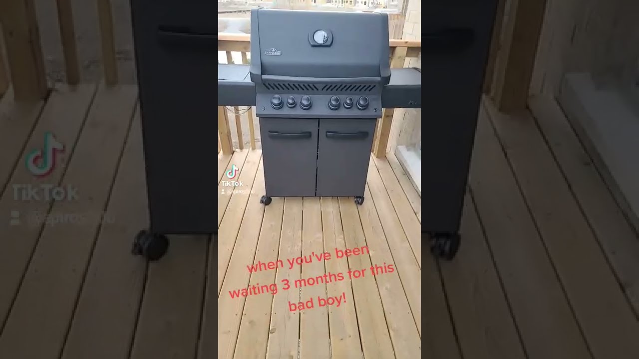 Napoleon Phantom Grill The Bad Boy 