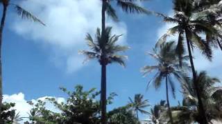 cocktail video
