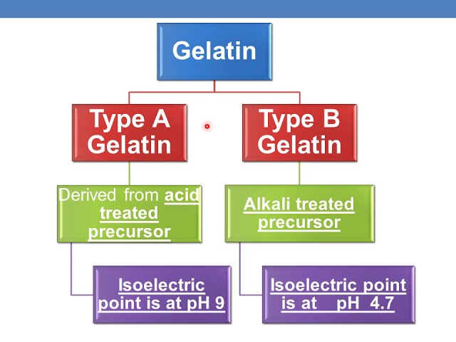 GPAT CRACKER TYPES OF GELATIN - YouTube