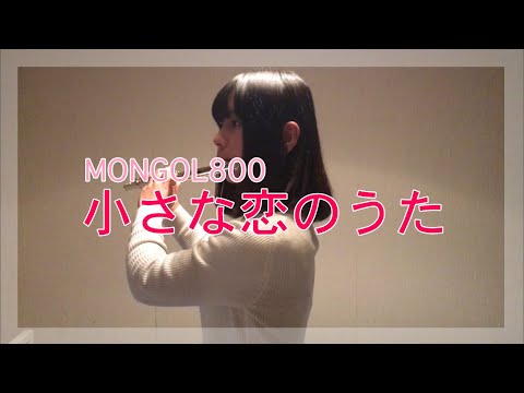 【フルート】MONGOL800/小さな恋のうた【演奏してみた】