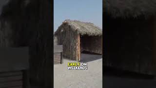 Al Dar Island  Bahrain’s Ultimate Beach Escape and Snorkeling Spot!