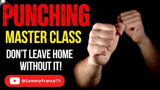 Punching Technique Master Class