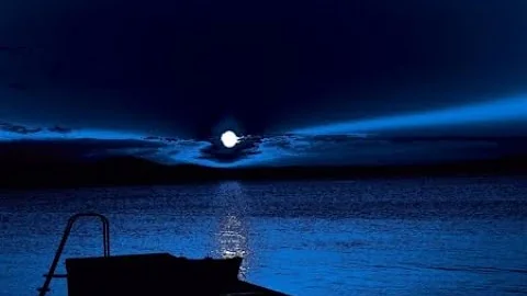 S. Mandelker PhD: Principles of Self-Healing, I (Autism)