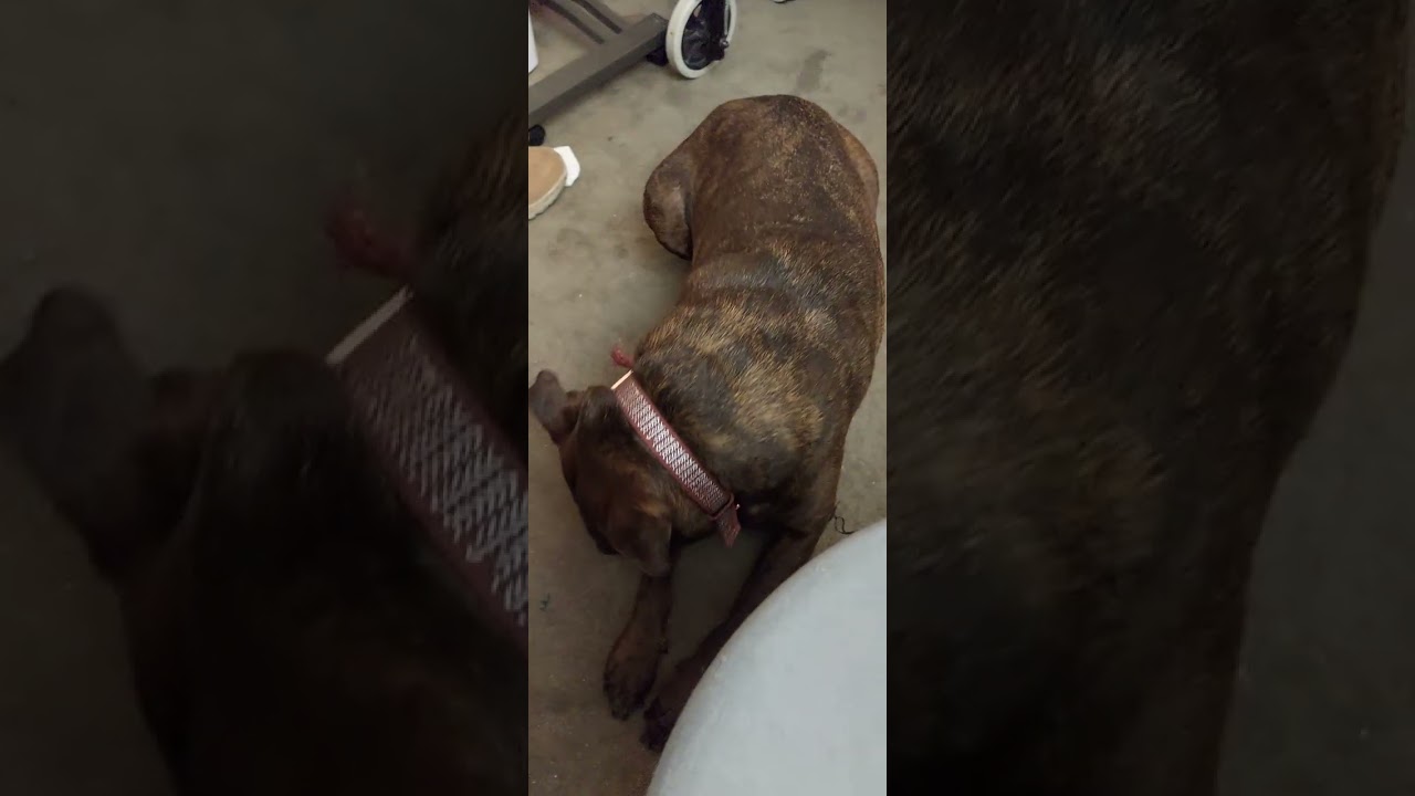 Everybody curious about the lazy Susan chair topper... sit n spin