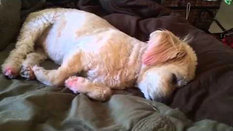 Napping on the job