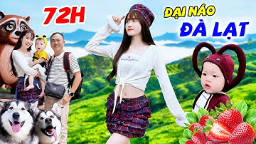 72H GIA ĐÌNH ZINO ĐẠI NÁO ĐÀ LẠT | ĂN NGON CHỤP ẢNH ĐẸP CAFE XINH - VÊ VÊ CHANNEL