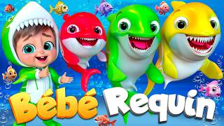 Bébé Requin Fête des Enfants | Une Chanson Amusante et Ludique #chansonpourenfants #bébérequin