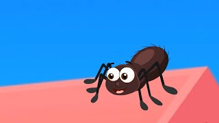 Incy Wincy Spider Song For Toddlers