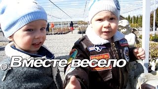 VLOG часть 1: Наш завтрак / Питомник растений(На завтрак у нас оладьи со сметаной. Потом мы едем на елочный базар купить удобрения и посмотреть ассортиме..., 2015-03-27T05:30:48.000Z)