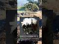 SHIELD OF UNCHANGING WILL IV #CrimsonDesert #Shorts