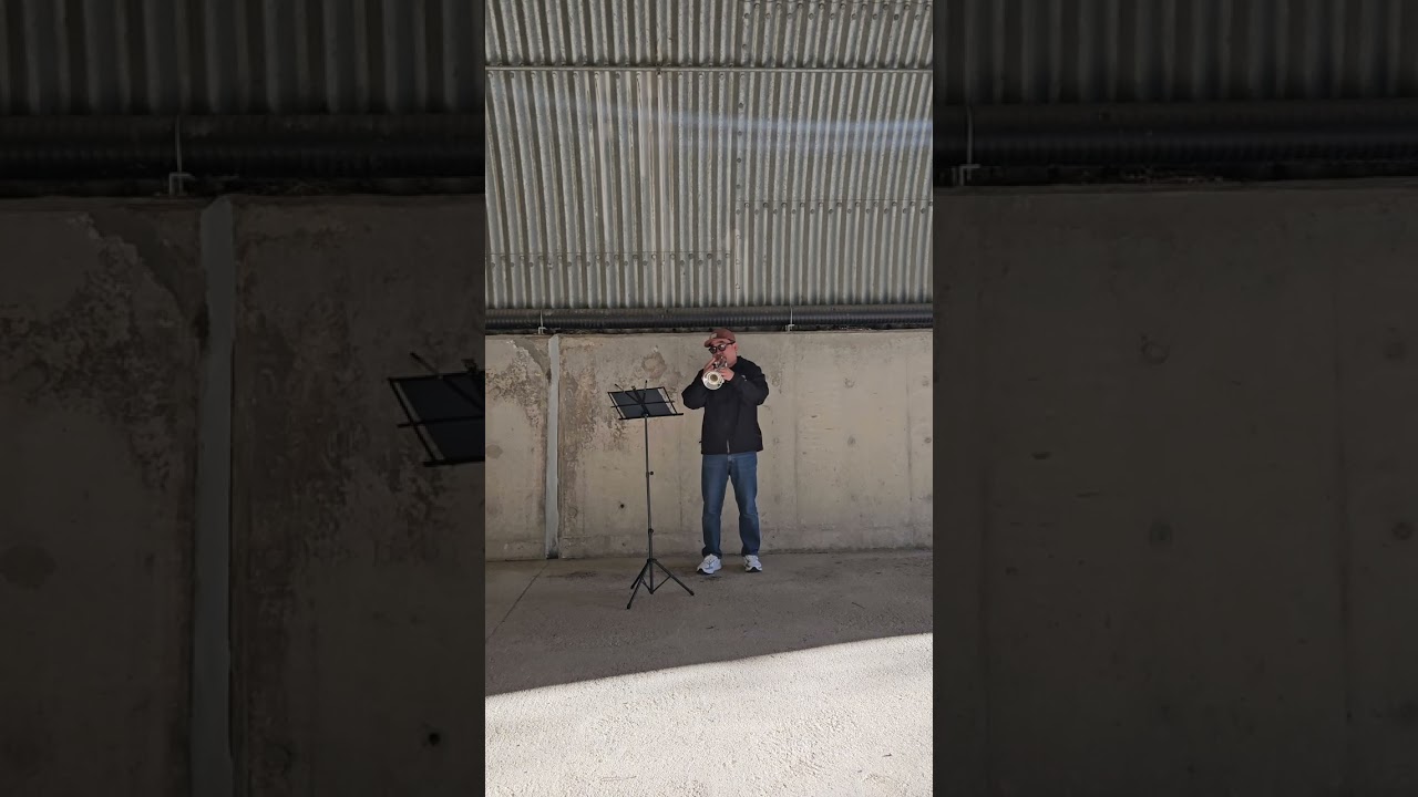 History of love(YouTube backing track 6/10)Trumpet cover. 