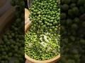 How store Green peas #peas #tips #musttry #store