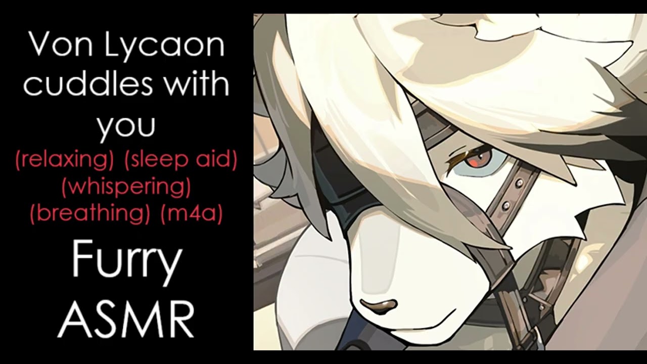 (Furry ASMR) Lycaon cuddles with you (relaxing) (sleep aid) (whispering) (breathing) (M4A)