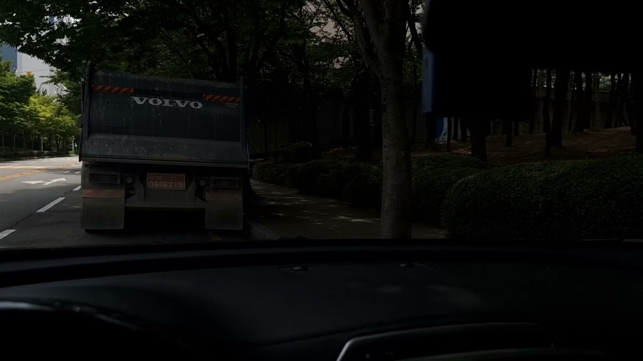 Vincent - Susan Wong