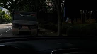 Vincent - Susan Wong