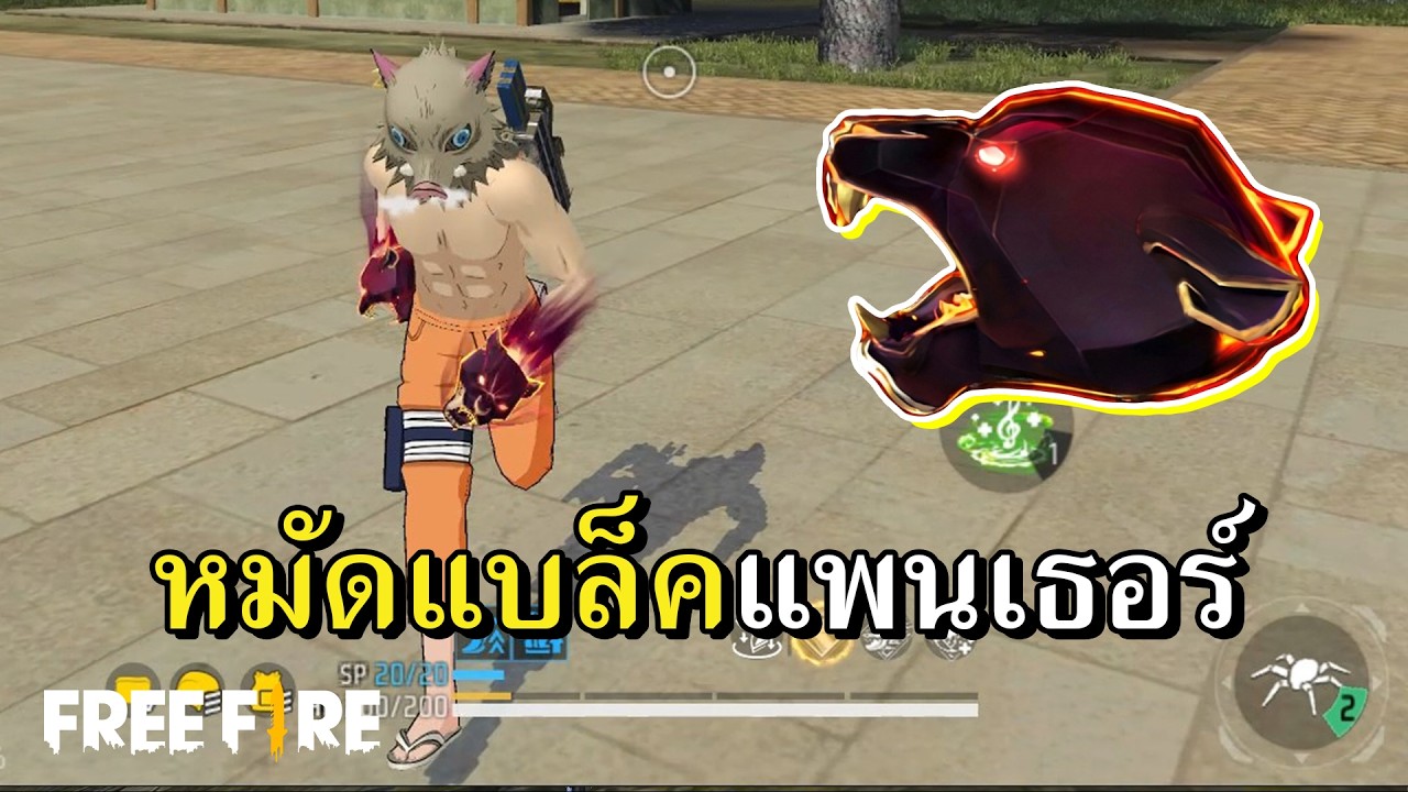 หมัดใหม่ เสือดำคำราม