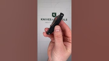 Spyderco Grasshopper Black G10 C138GBKP keychain pocket knife