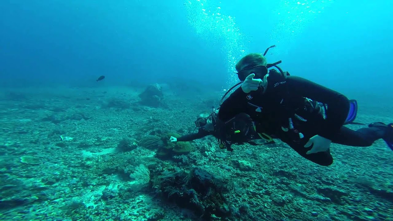 Manta dive fail in the Komodo Islands - YouTube
