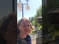 Escadrila pufoasă și zeci de pești mari filmați in apa astăzi pe Tatarasi Suceava
